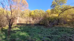 Huis met een perceel van 3.995 m² en extra gebouwen in Kosta Perchevo - Bulgarije