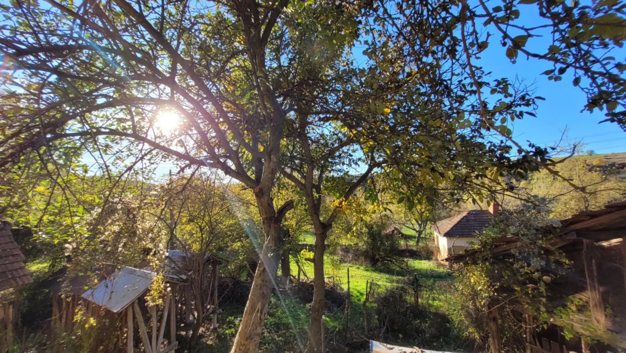 Huis met een perceel van 3.995 m² en extra gebouwen in Kosta Perchevo - Bulgarije