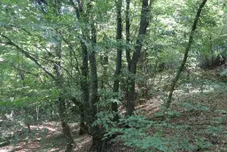 113.324 m² loofbos in Gorno Ozirovo, Varshets Montana - Bulgarije