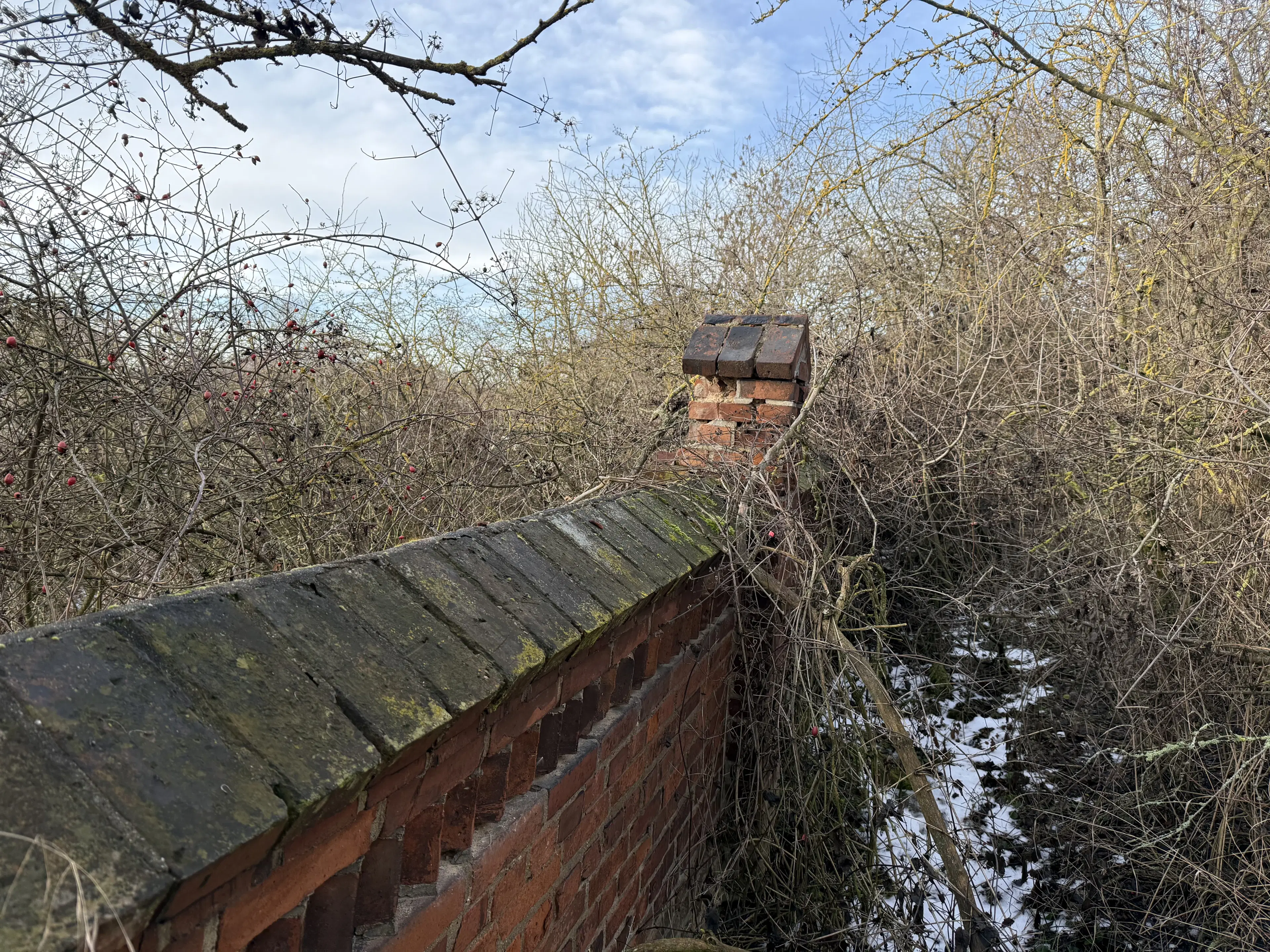 115 m² eigendomsperceel, gedeeltelijke bunker in Staßfurt - Duitsland