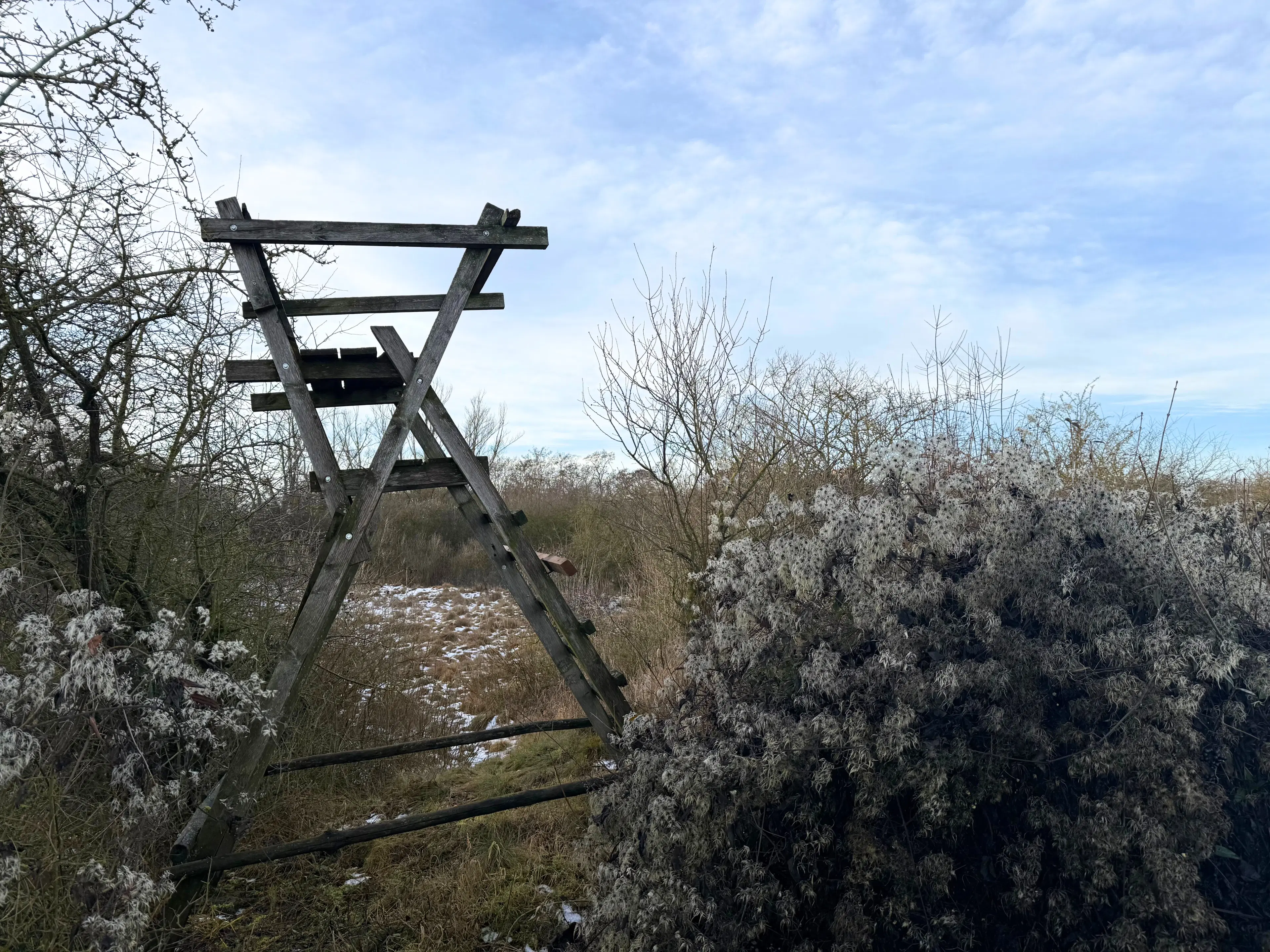 115 m² eigendomsperceel, gedeeltelijke bunker in Staßfurt - Duitsland