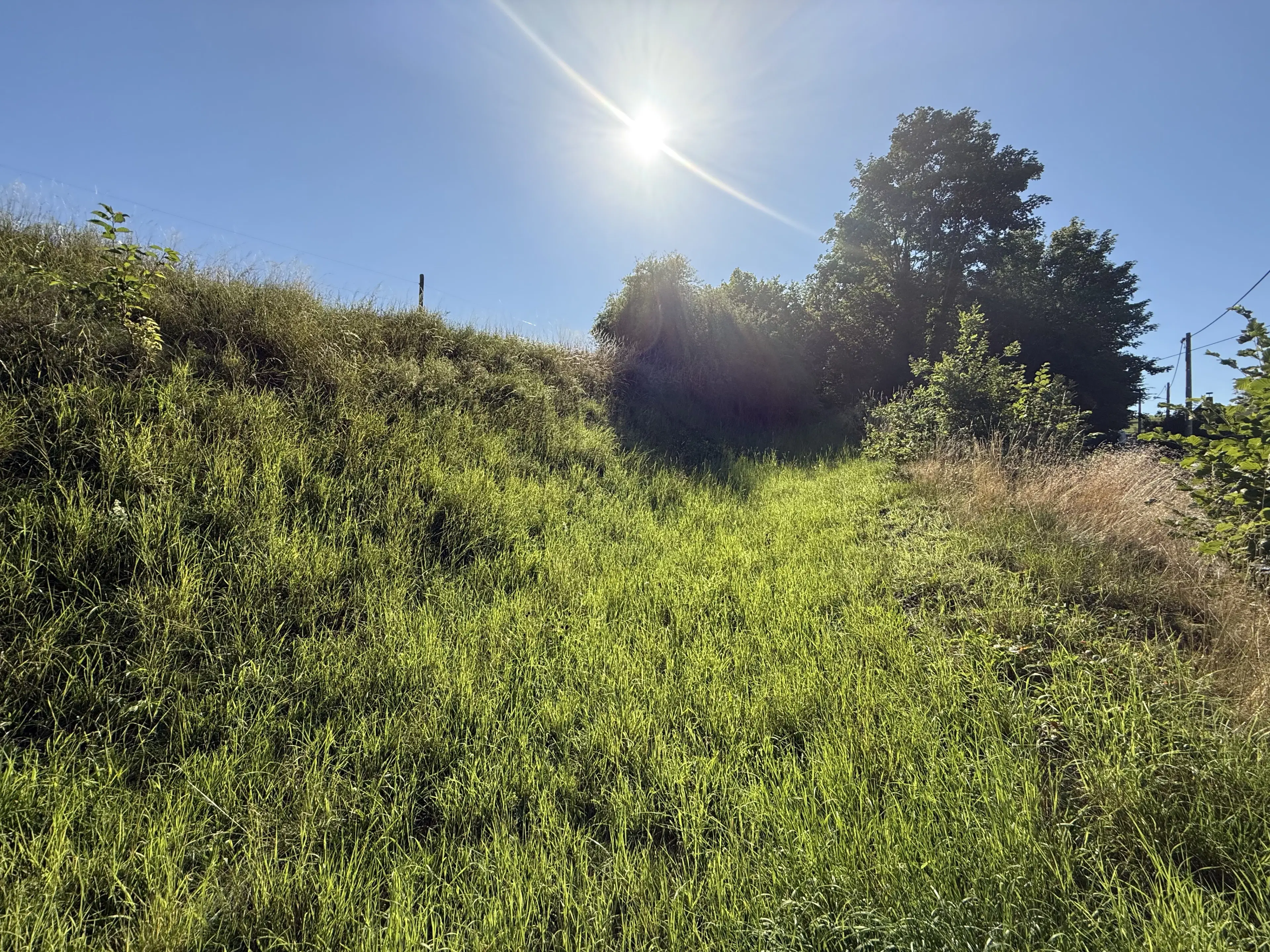 Openruimte van 220 m² nabij de Pirk- en Dröda-dammen - Bösenbrunn - Duitsland