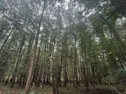 Perceel van 1.6 ha bij het water nabij Bad Schmiedeberg - Duitsland