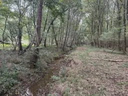 Perceel van 1.6 ha bij het water nabij Bad Schmiedeberg - Duitsland