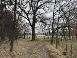 Eigendomsperceel van 8.022 m² midden in de natuur nabij de Elbe, Pertzsch - Duitsland