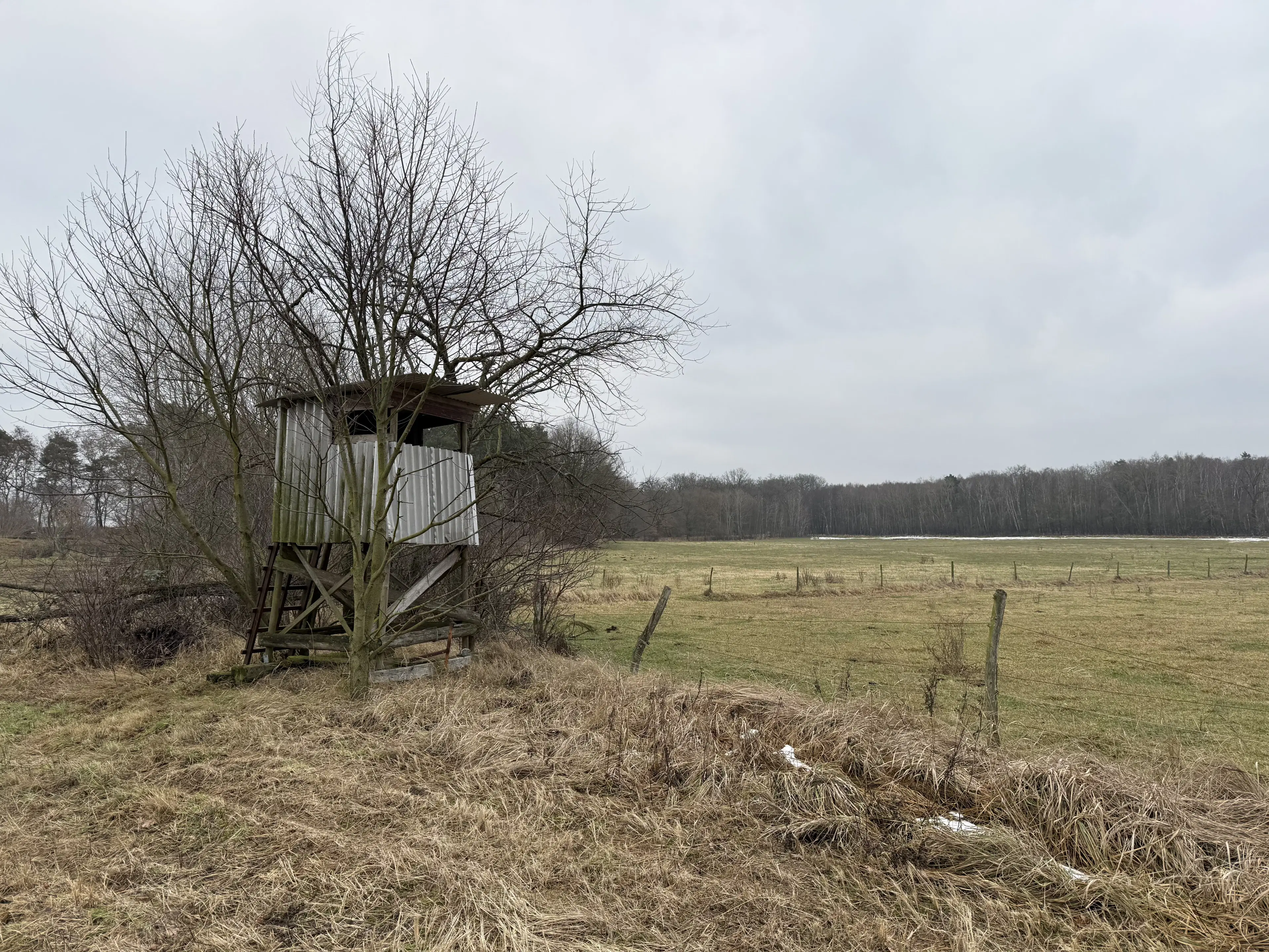 Eigendomsperceel van 8.022 m² midden in de natuur nabij de Elbe, Pertzsch - Duitsland
