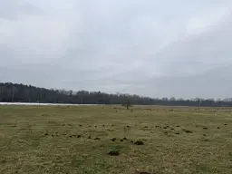 Eigendomsperceel van 8.022 m² midden in de natuur nabij de Elbe, Pertzsch - Duitsland