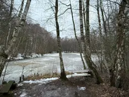 Eigendomsperceel van 8.022 m² midden in de natuur nabij de Elbe, Pertzsch - Duitsland