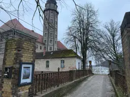 Eigendomsperceel van 8.022 m² midden in de natuur nabij de Elbe, Pertzsch - Duitsland