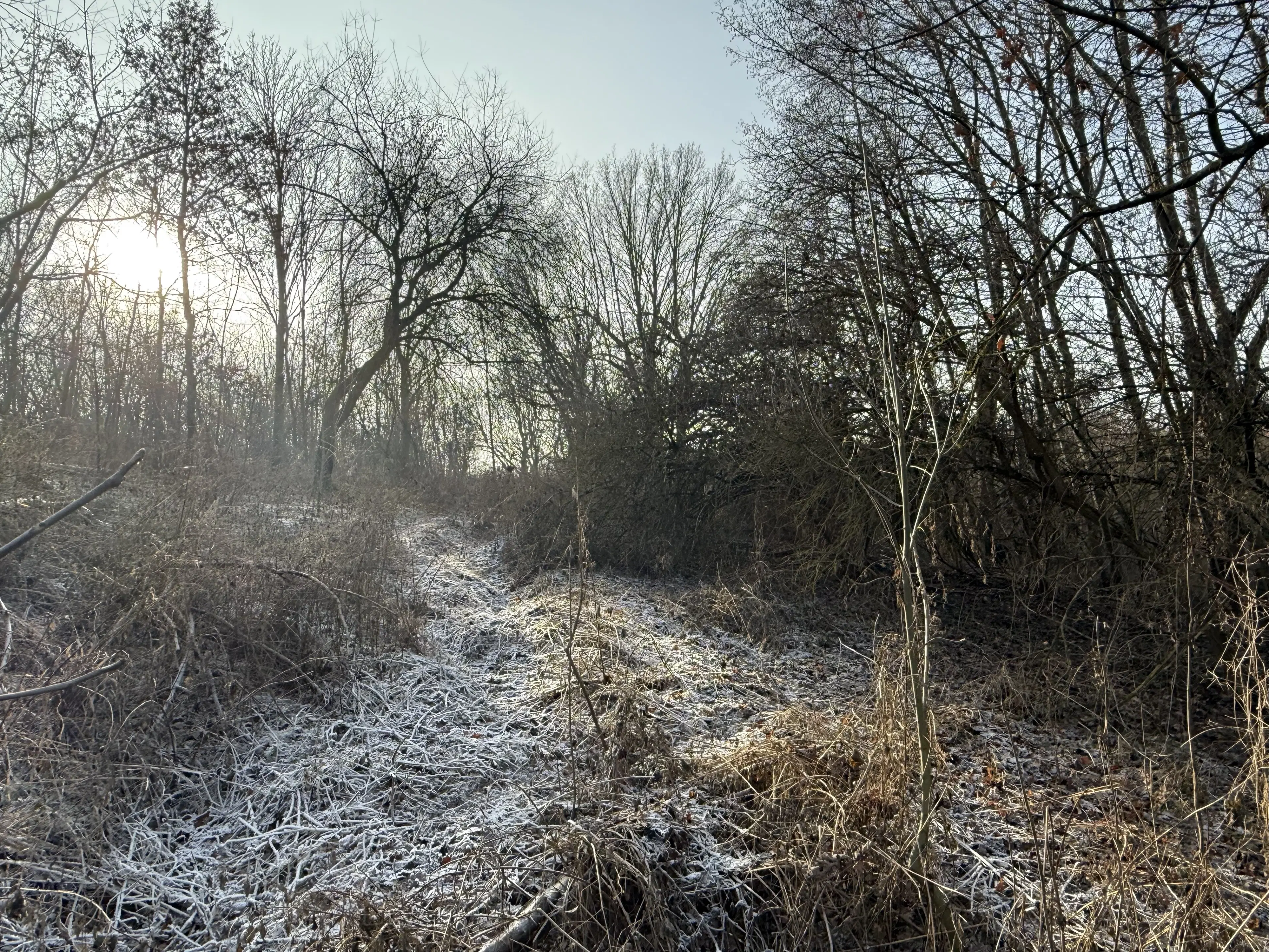 Eigendomsperceel van 1.022 m² in de regio Döbeln - Duitsland