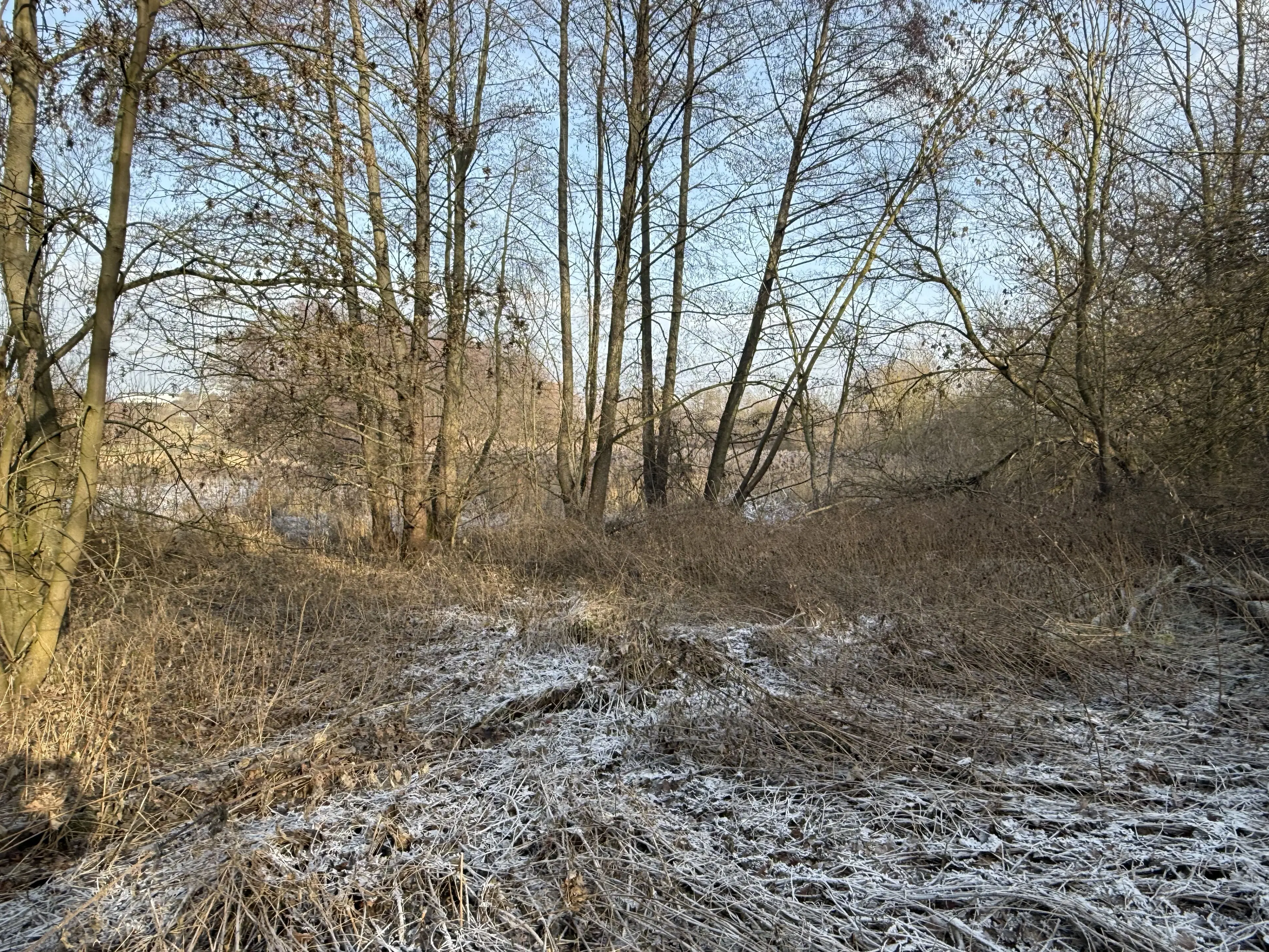 Eigendomsperceel van 1.022 m² in de regio Döbeln - Duitsland