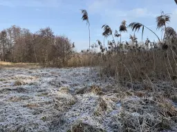 Eigendomsperceel van 1.022 m² in de regio Döbeln - Duitsland
