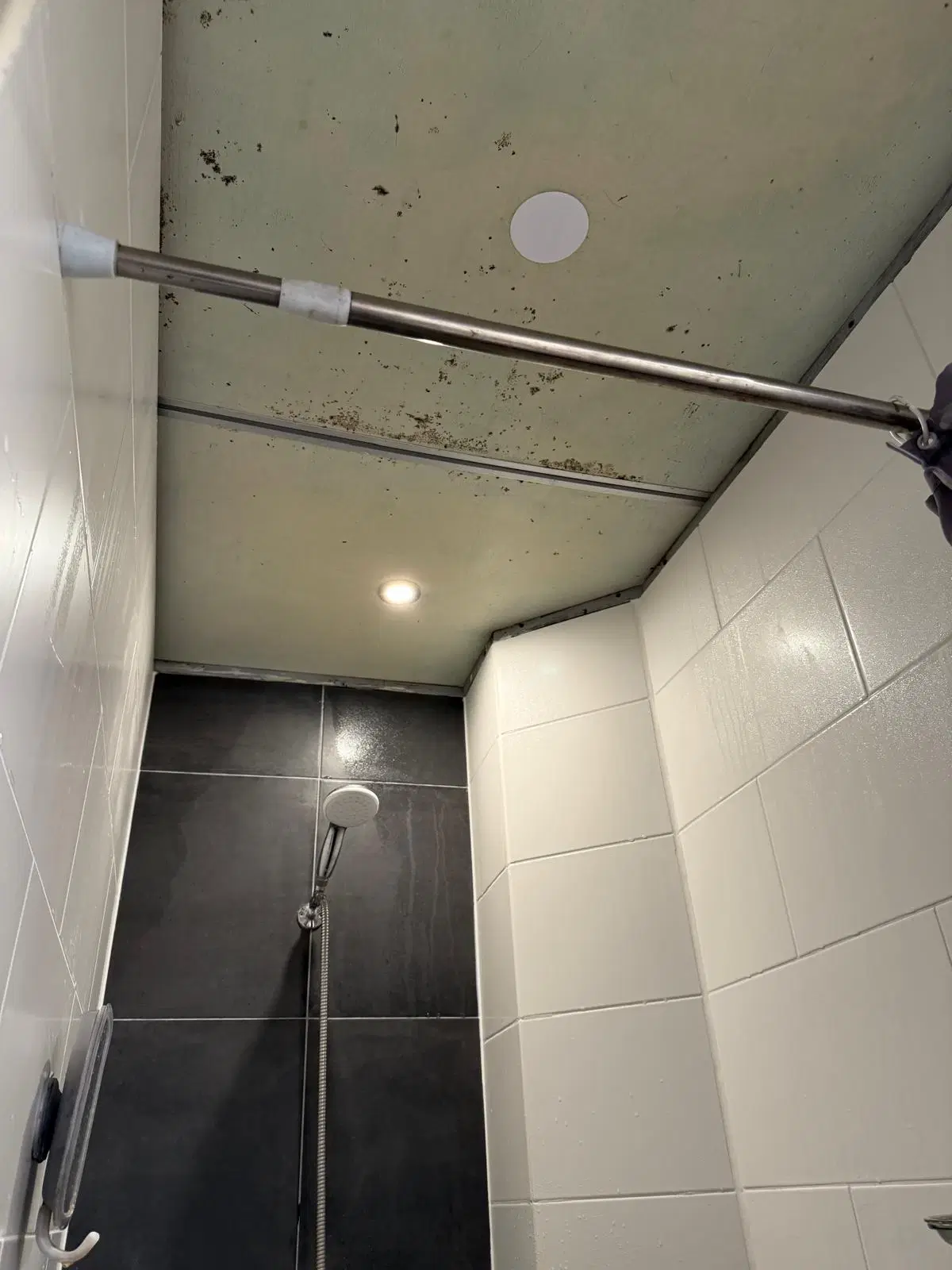 's-Hertogenbosch, Van der Weeghensingel 9