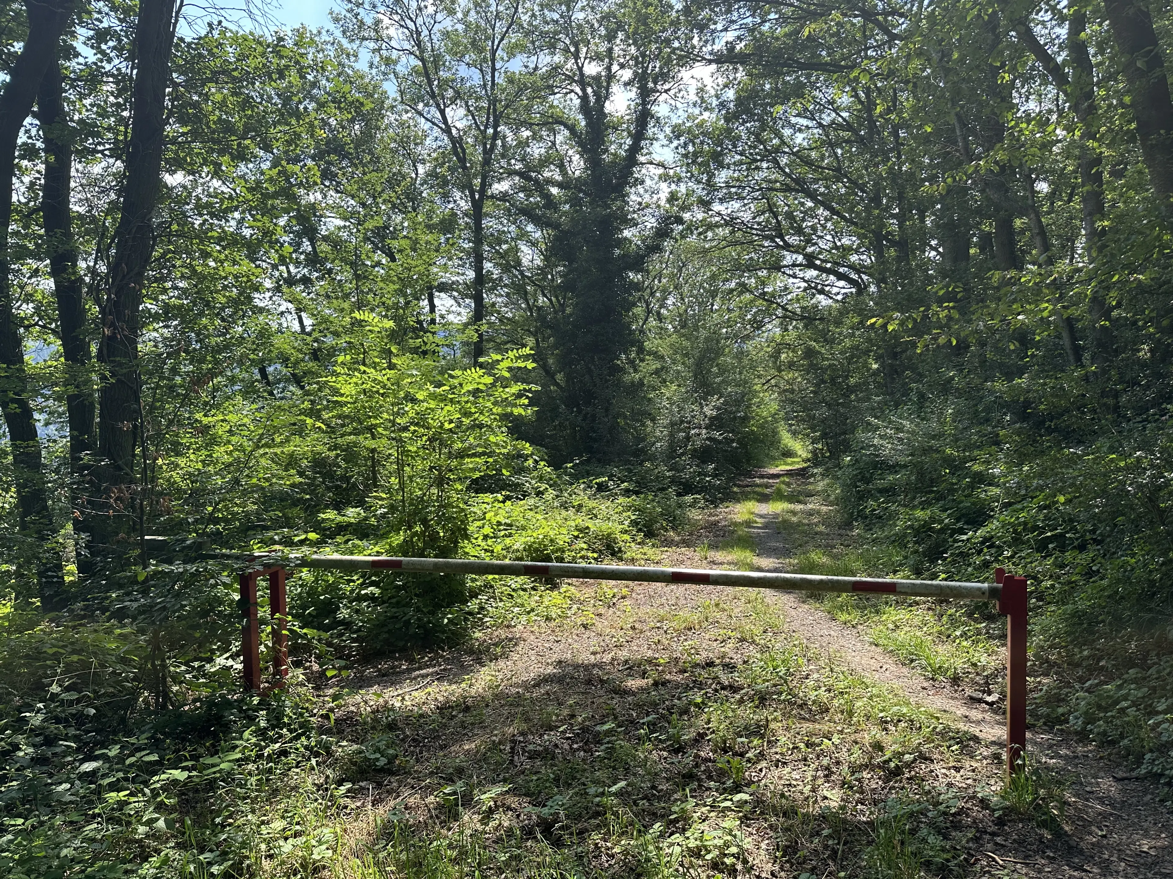 3 percelen van totaal 604 m² in Cochem - Duitsland