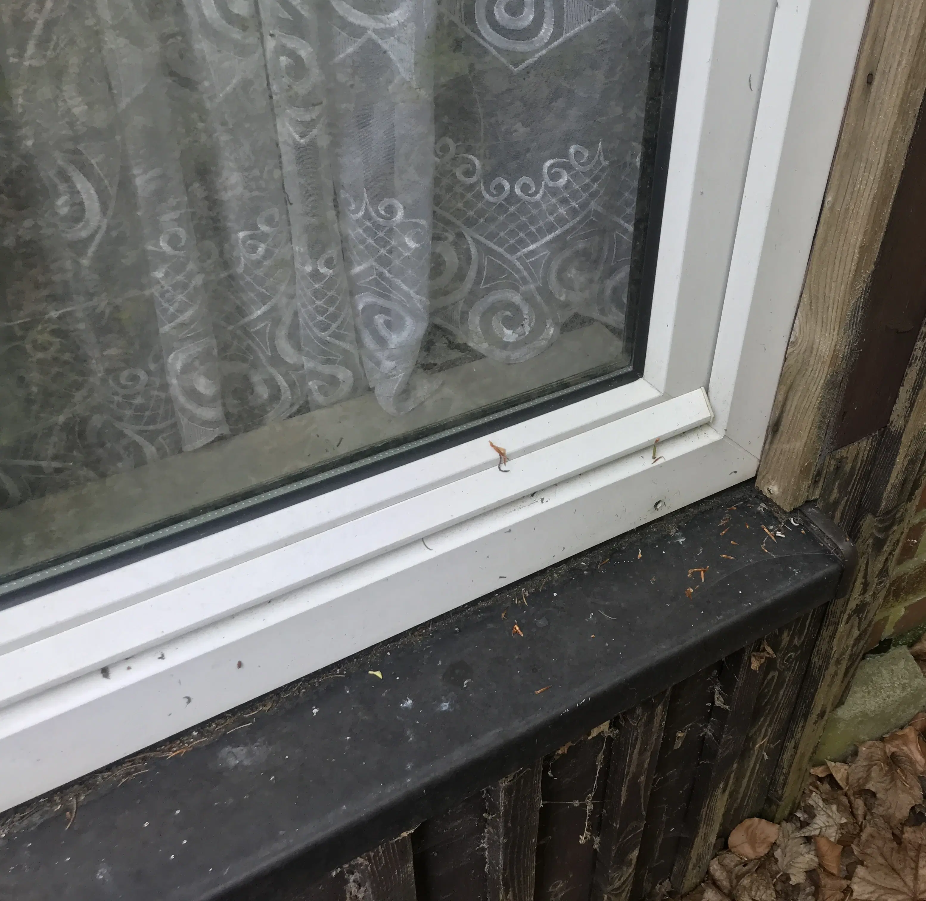 Woning met diverse aanbouwen en een solide basisconstructie in Klingenthal - Duitsland