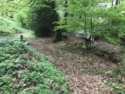 Woning met diverse aanbouwen en een solide basisconstructie in Klingenthal - Duitsland