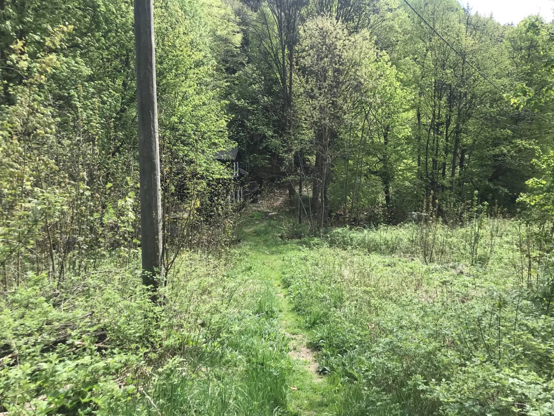 Woning met diverse aanbouwen en een solide basisconstructie in Klingenthal - Duitsland