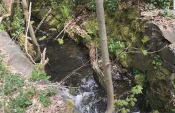 Woning met diverse aanbouwen en een solide basisconstructie in Klingenthal - Duitsland