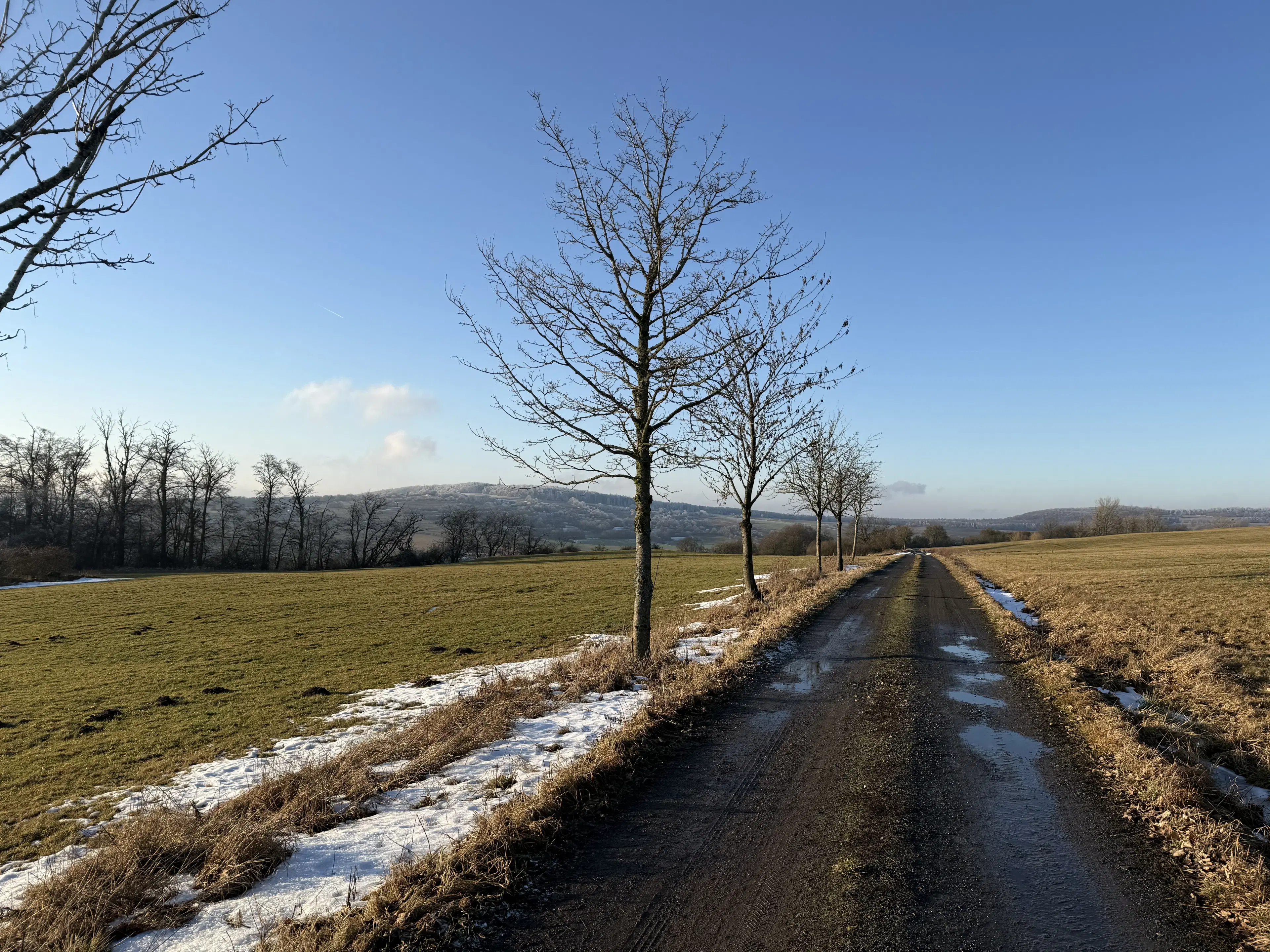 Agrarisch terrein met voormalige melkstal op perceel van 1.878m² bij Meiningen, Kassel, Duitsland