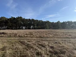 Terrein van ca. 1,75 ha naast natuurcamping Ragösen - Fläming - Duitsland