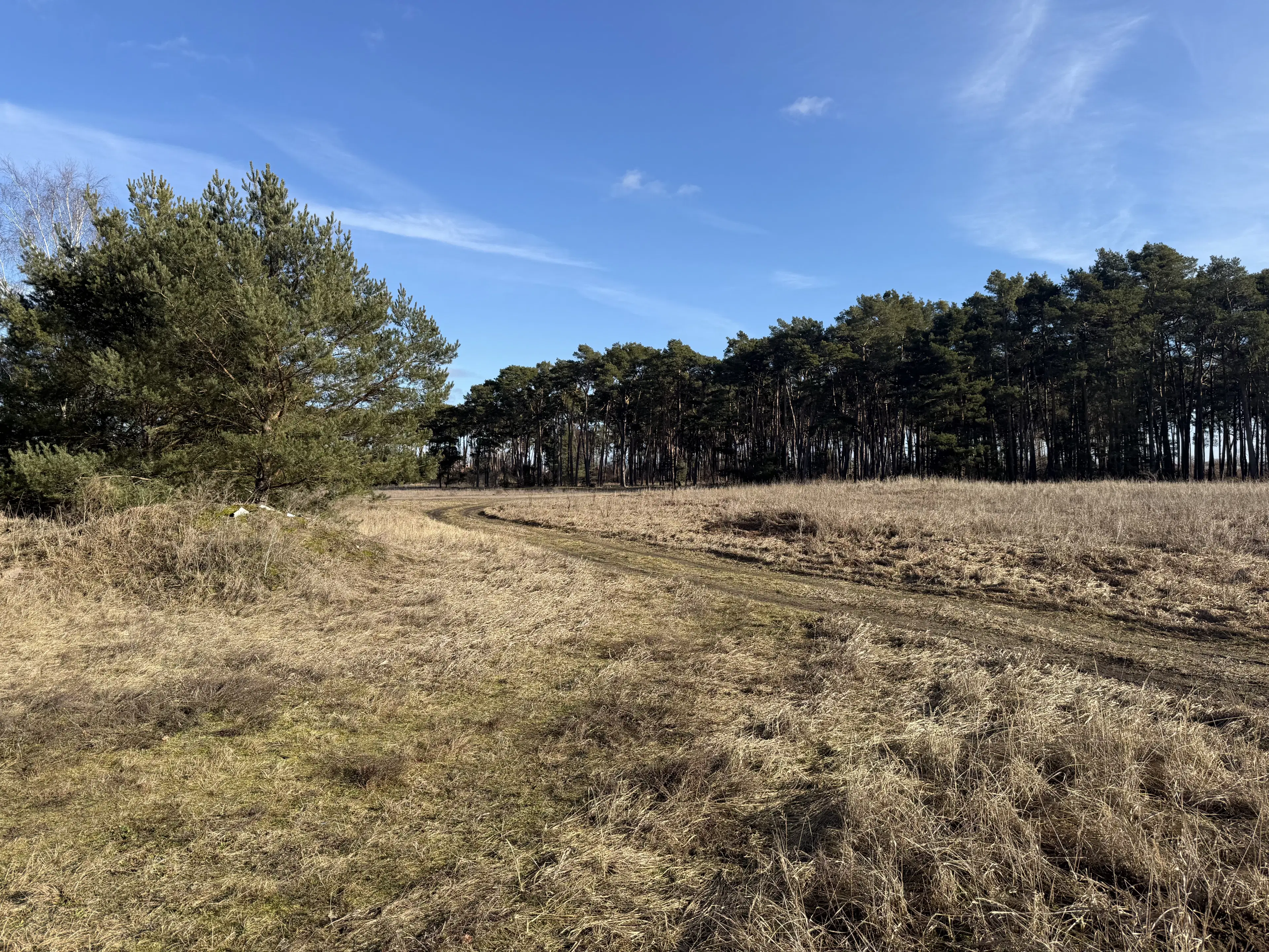 Terrein van ca. 1,75 ha naast natuurcamping Ragösen - Fläming - Duitsland