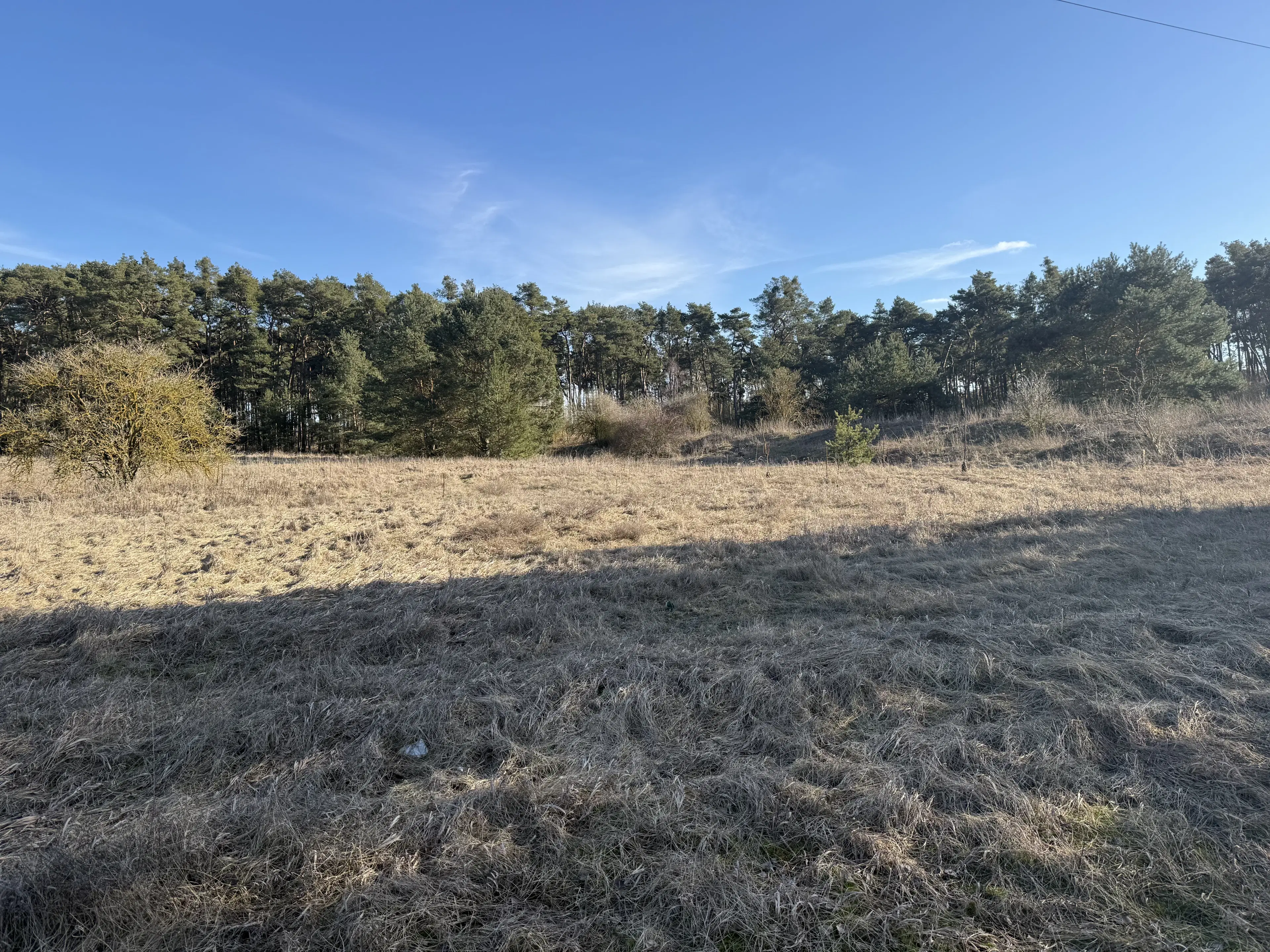 Terrein van ca. 1,75 ha naast natuurcamping Ragösen - Fläming - Duitsland