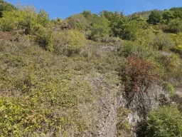 Perceel van 966 m² nabij Cochem centrum - Duitsland