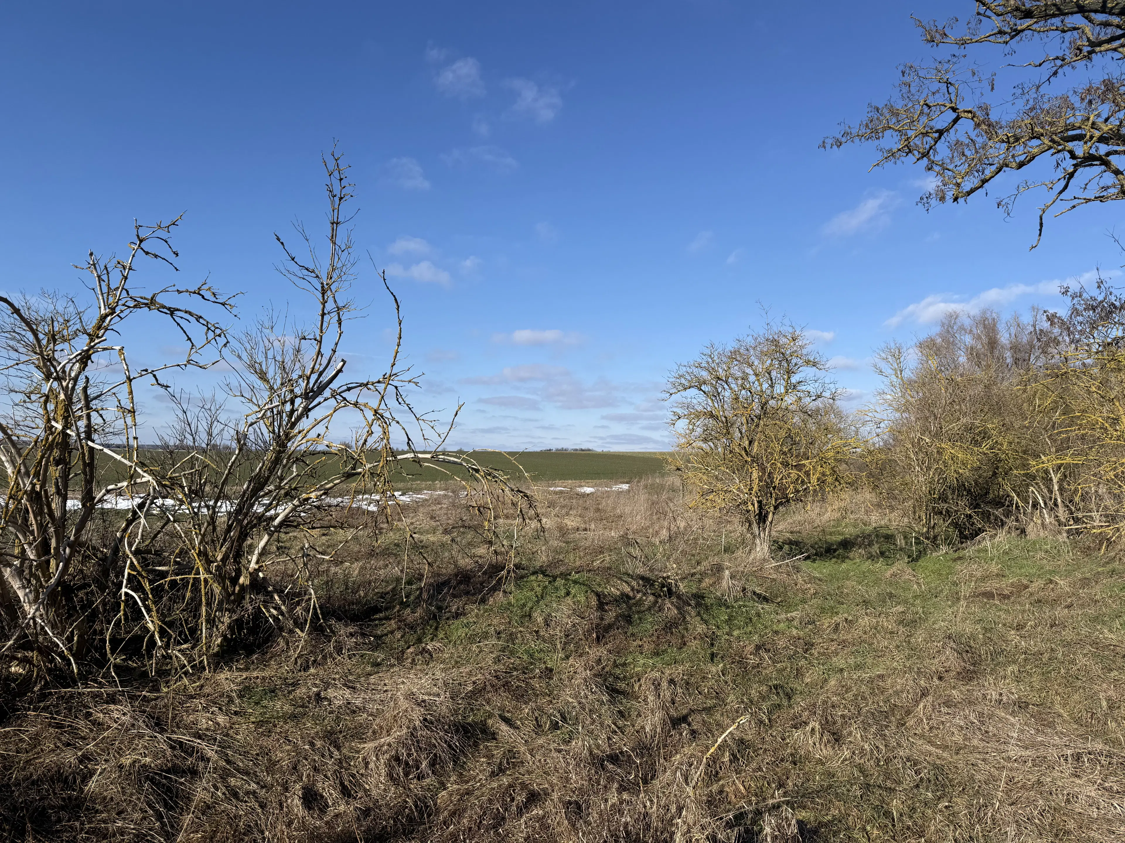 Eigendomsperceel van 1.120 m² in Emden - Duitsland