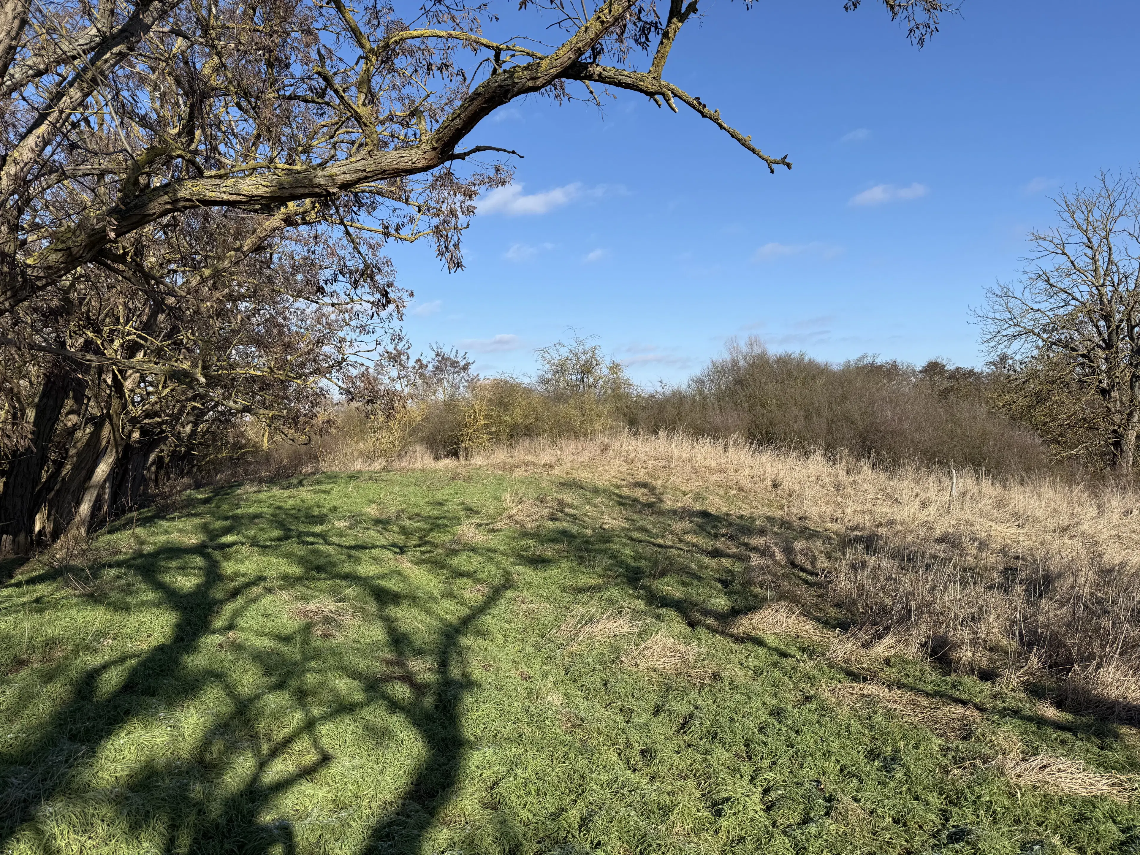 Eigendomsperceel van 1.120 m² in Emden - Duitsland