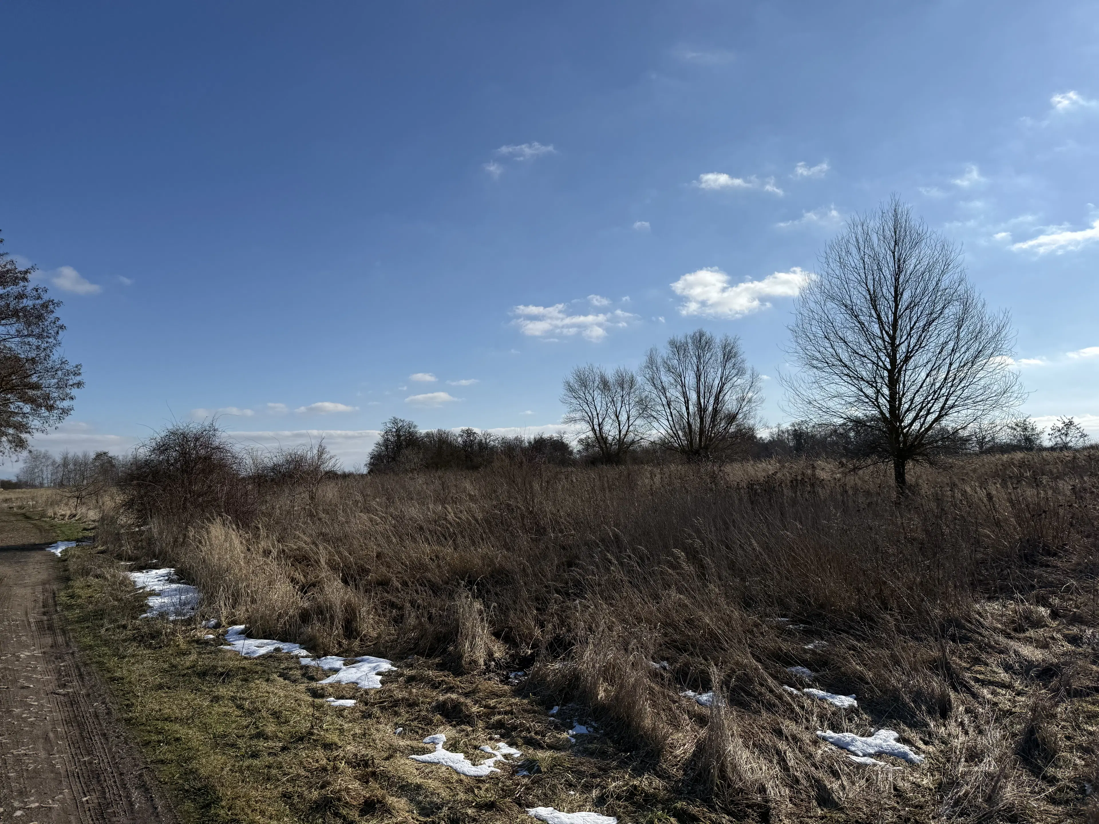 Eigendomsterrein van 7.234 m² in Emden - Duitsland