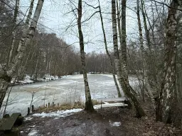 Eigendomsperceel van ca. 1.35 ha nabij de Elbe, Pretzsch - Duitsland