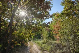 32.541 m² gemengd loofbos in regio Vidin - Bulgarije