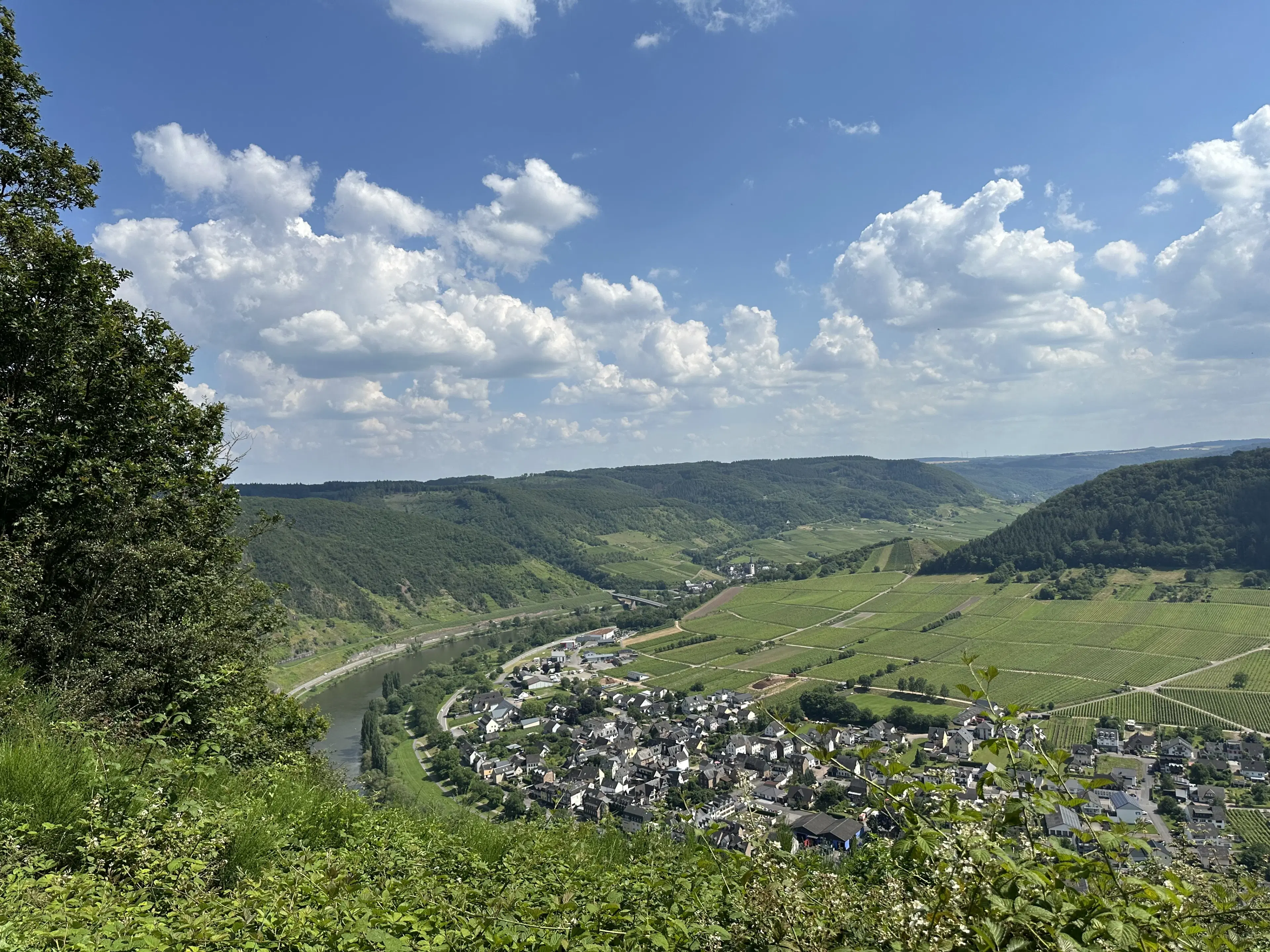 Totaal 604 m² op 3 percelen in Cochem - Duitsland