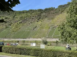 Totaal 604 m² op 3 percelen in Cochem - Duitsland