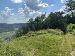 Totaal 604 m² op 3 percelen in Cochem - Duitsland