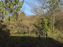 Bouwperceel 1.025 m² in Boxberg, Wölchingen - Duitsland