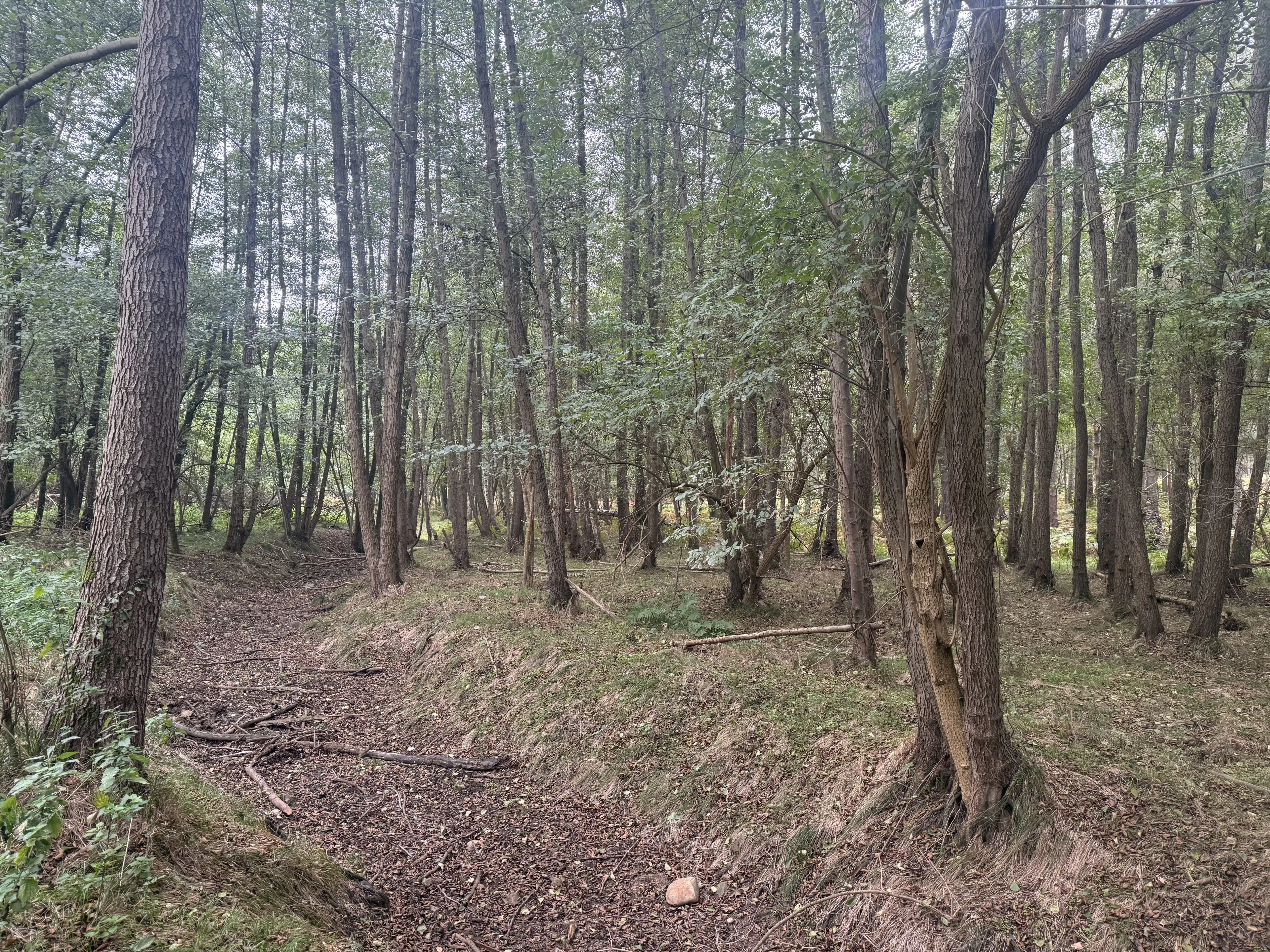 762 m² perceel bij het water nabij Bad Schmiedeberg - Duitsland