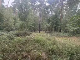 762 m² perceel bij het water nabij Bad Schmiedeberg - Duitsland