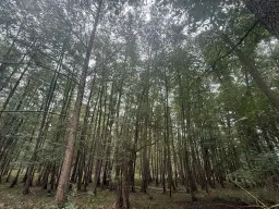 762 m² perceel bij het water nabij Bad Schmiedeberg - Duitsland