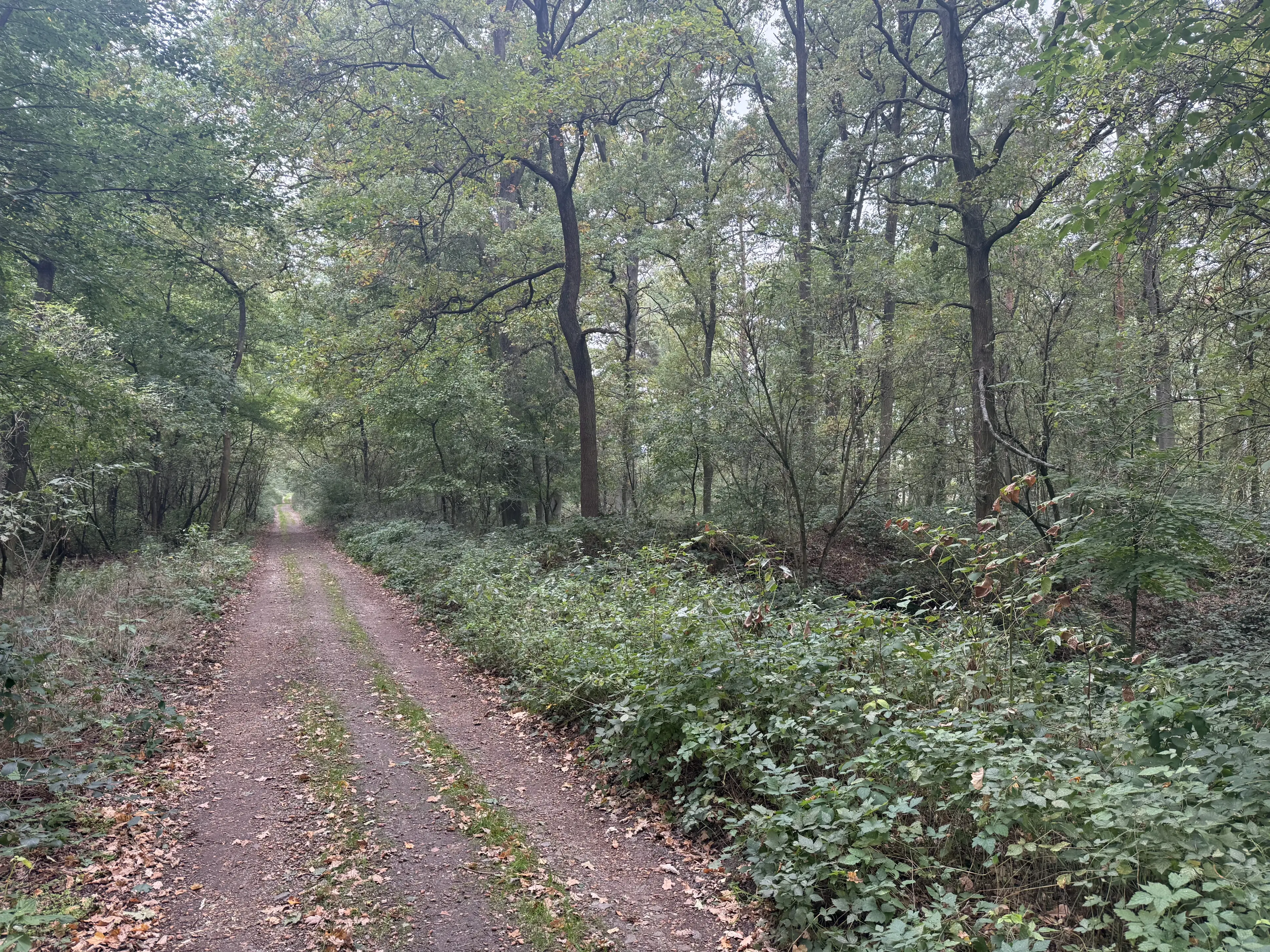 762 m² perceel bij het water nabij Bad Schmiedeberg - Duitsland