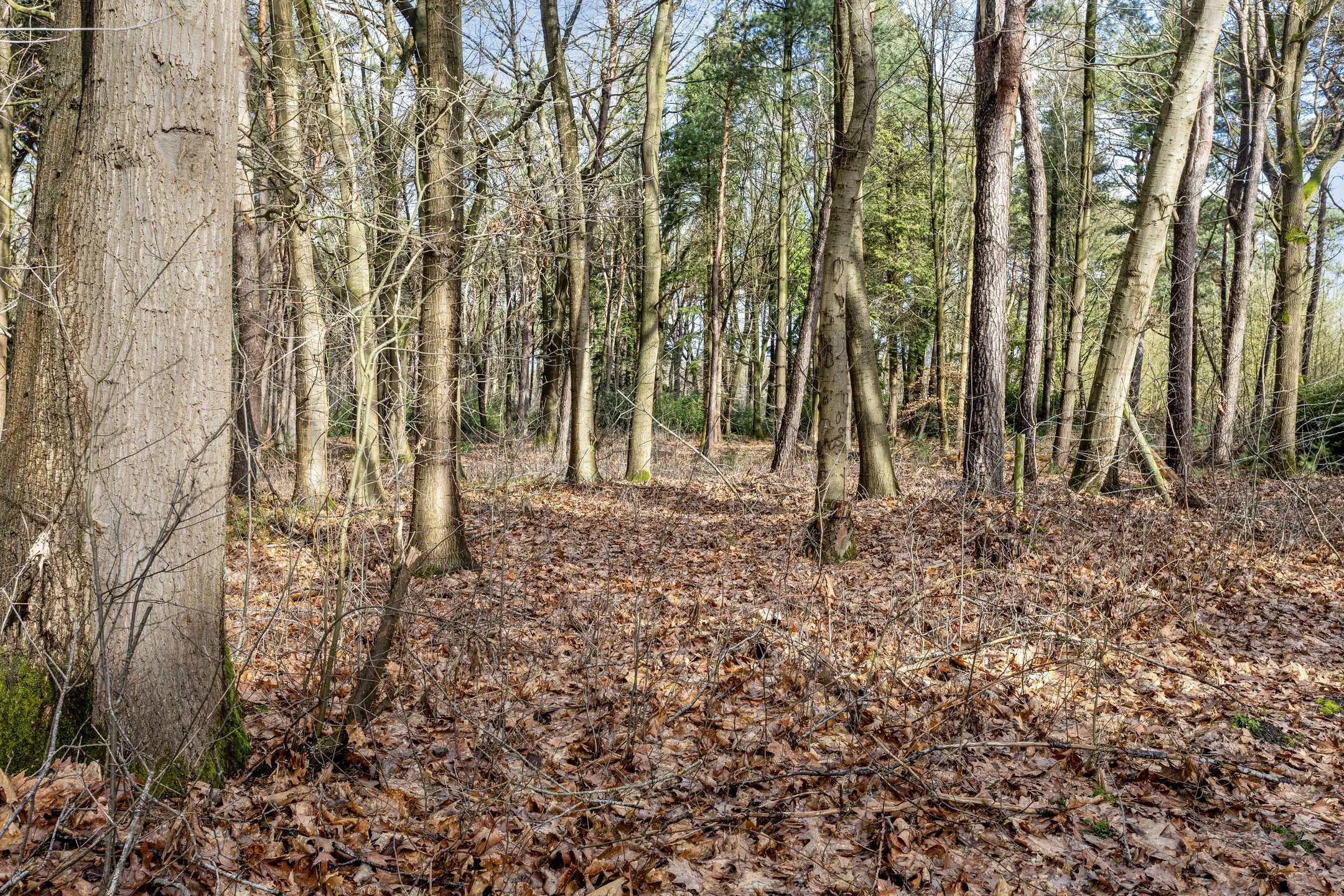 Duizel, Berkvenseweg 6