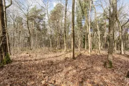 Duizel, Berkvenseweg 6