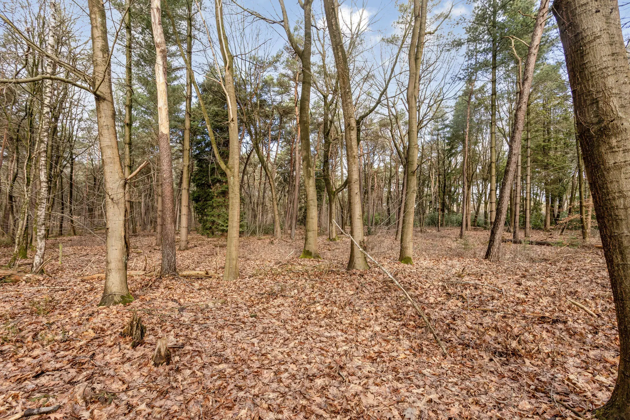 Duizel, Berkvenseweg 6