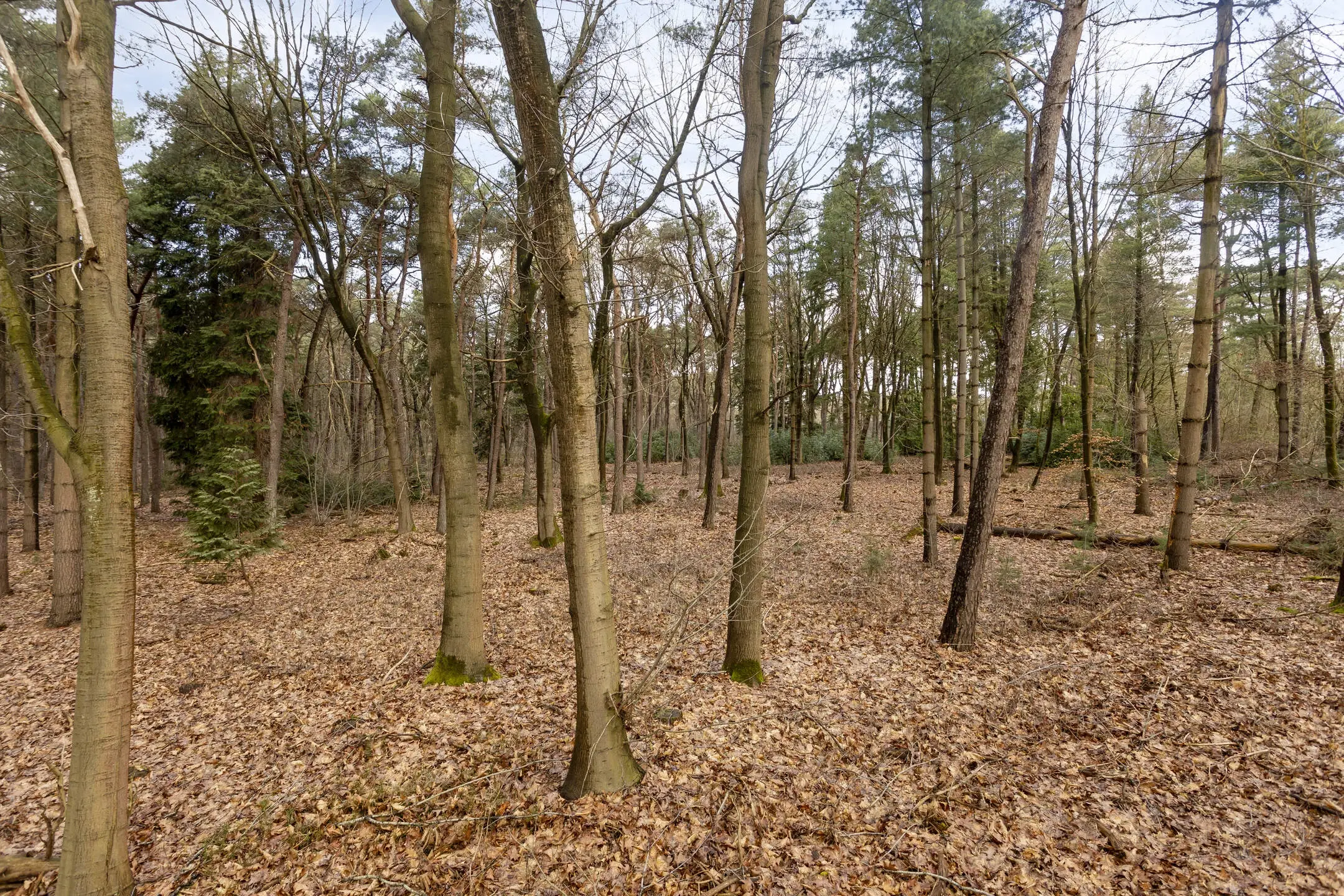 Duizel, Berkvenseweg 6