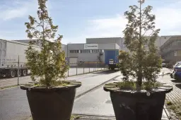 Winschoten, Papierbaan 50