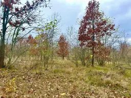 Bosgrond van 19.898 m² regio Burgas - Bulgarije