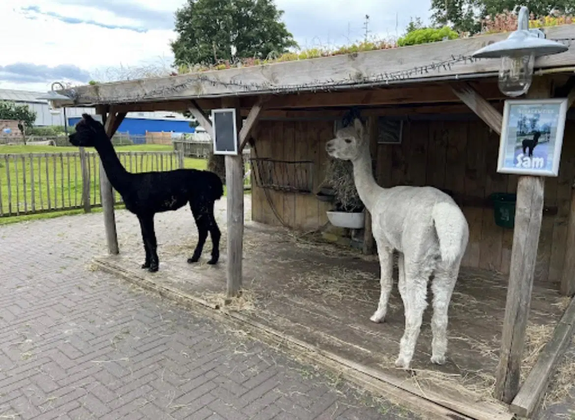 Biddinghuizen, Spijkweg 15 -  P347