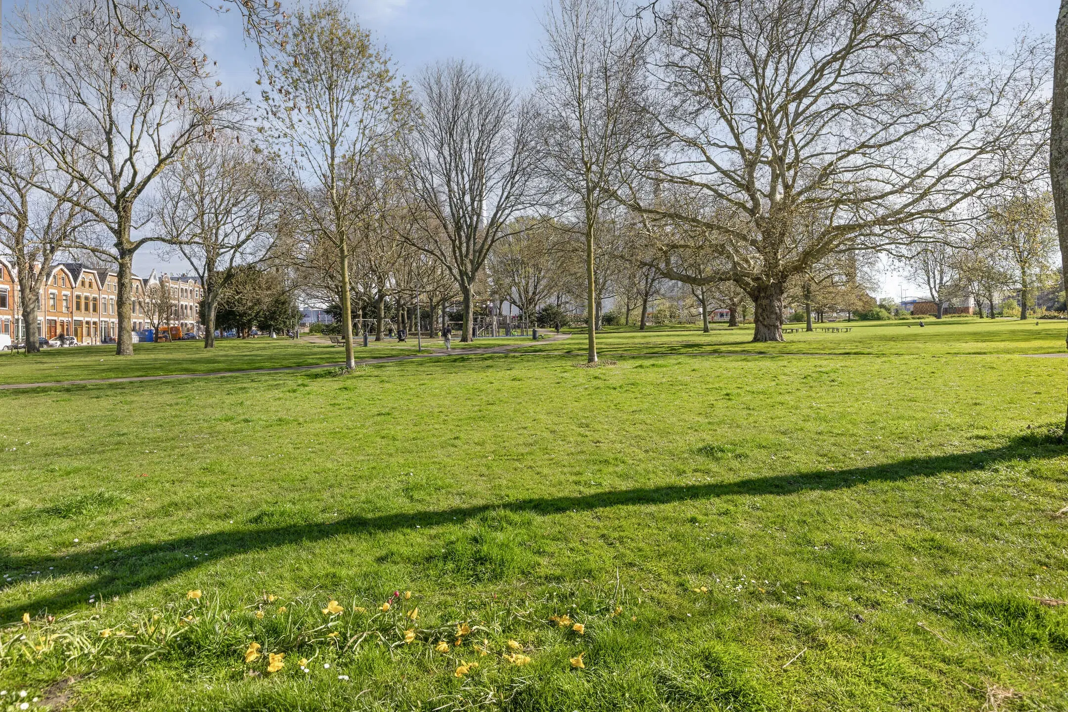 Rotterdam, Wolphaertsbocht 103