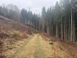 Eigendomsperceel van 2.172 m² nabij vakantiehuizen, Annaberg - Duitsland