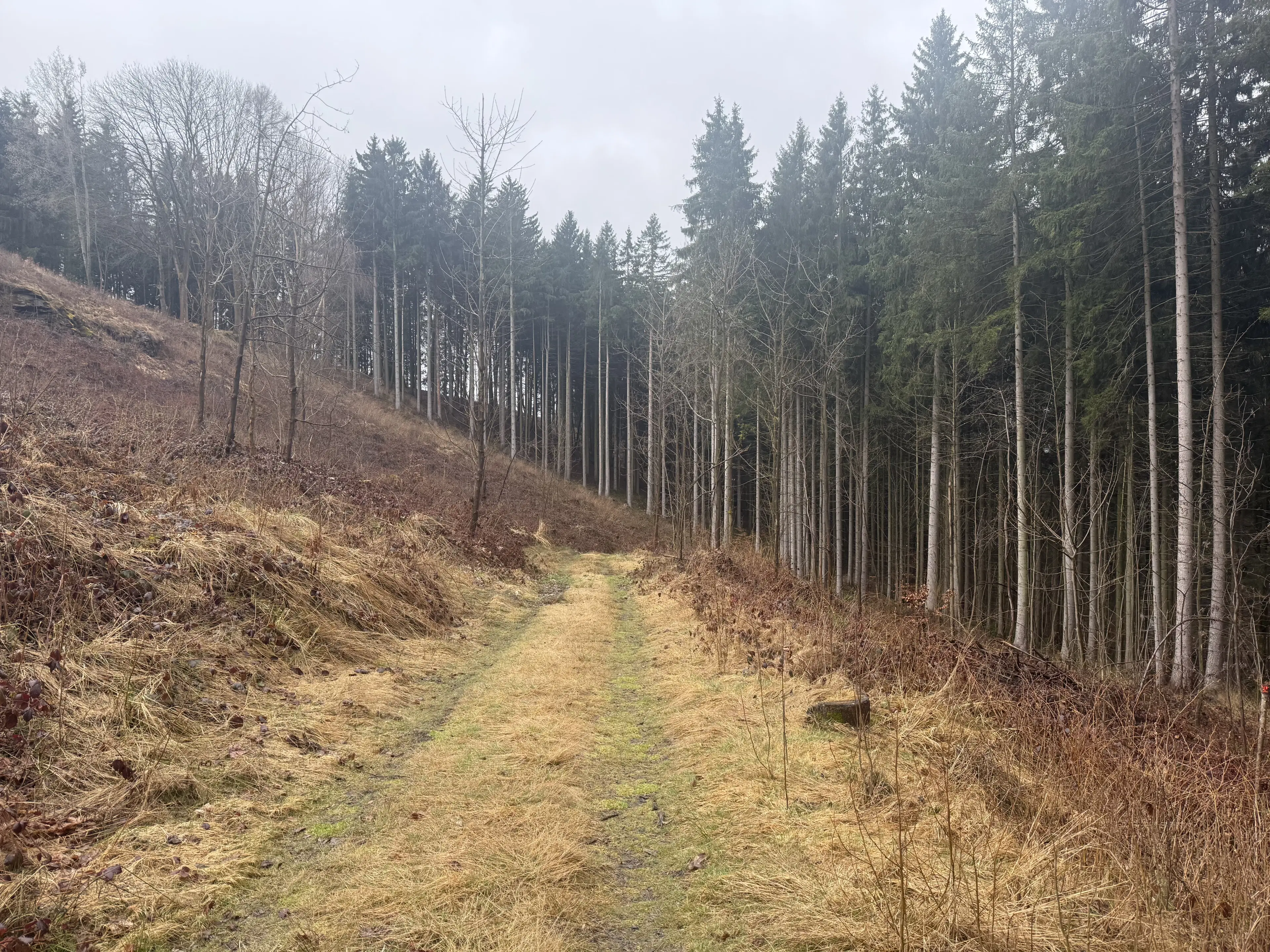 Eigendomsperceel van 2.172 m² nabij vakantiehuizen, Annaberg - Duitsland